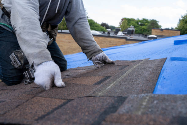 Best Gutter Installation and Roofing  in Spearman, TX