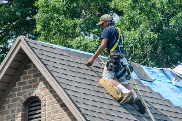Best Roof Gutter Cleaning  in Spearman, TX